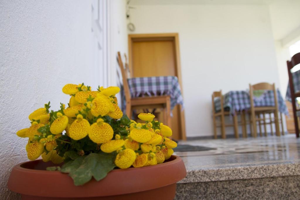 Apartments Blago Sutomore Exterior foto