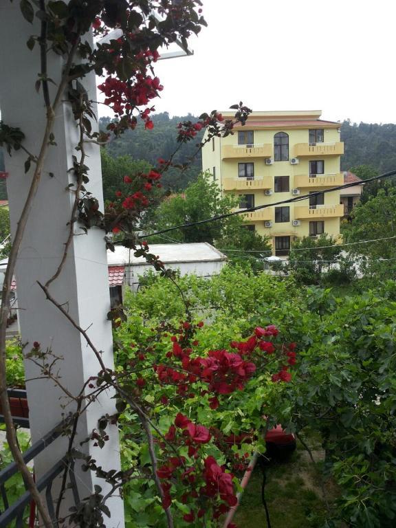 Apartments Blago Sutomore Exterior foto